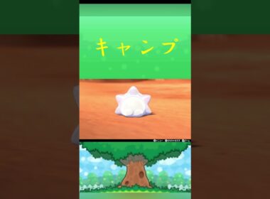 ポケモン ユキハミ キャンプ ポケリフレ ポケパルレ #ポケモン #Pokemon  #nintendoswitch  #ポケモンsv  #ふれあい #キャンプ  #ピクニック #ポケモン剣盾