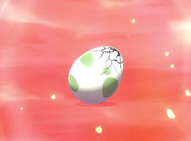 最初に貰った卵で誕生した色違いドラメシヤ【ポケモン剣盾】