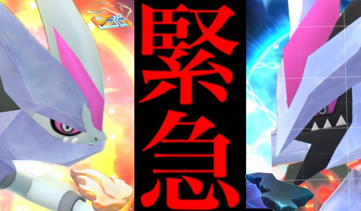 【無料配布⚠️】緊急直前！！このあと絶対やって！合体キュレムのレイドデイの重要な4つのポイントについて・・。【ポケモンGO・ブラックキュレム・ホワイトキュレム・pokemon go】