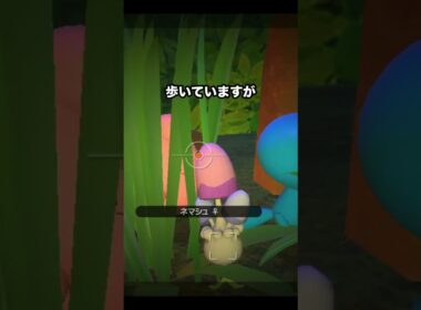 【ちいかわ】喜ぶピィが可愛すぎる #ポケモン #newポケモンスナップ