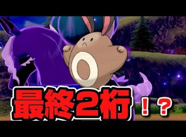 【ダブルバトル】相手の黒馬強すぎ...←オタチ1匹で解決できます