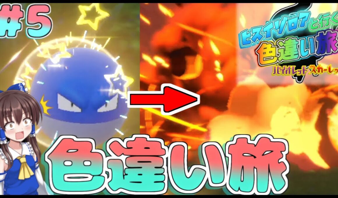 【ポケモンSV】ビリリダマじばく！？大量発生イベントビリリダマ消滅！！ヒスイゾロアと行く色違い旅#５【ゆっくり実況】