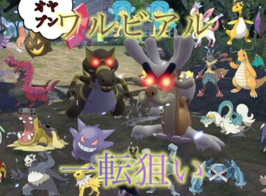 ワイルドゾーン20で色違いオヤブンワルビアルくるまでやってみた結果！【ポケモンレジェンズZ-A】