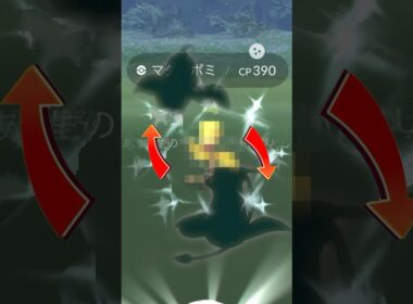 【毎日ポケGO】色違いマダツボミ進化させてみたー♫ #pokemongo #ポケモンgo #色違い