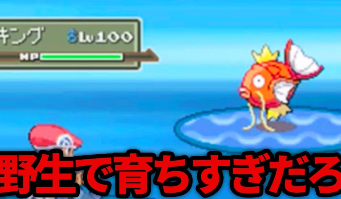 初見時にビビらせてくる高レベルなポケモン達がいるようです