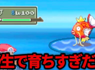 初見時にビビらせてくる高レベルなポケモン達がいるようです