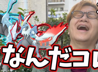キュレムレイド全然話と違うじゃねえかおい!!!!!!!【ポケモンGO】