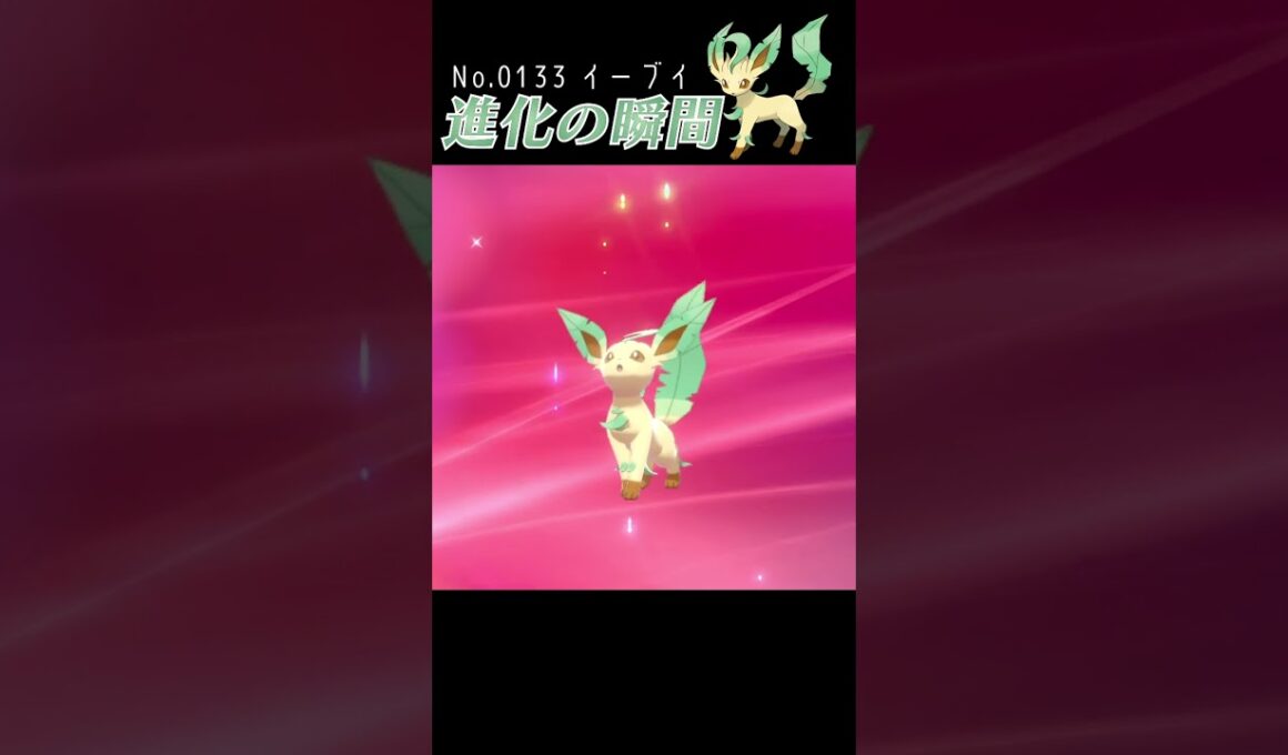 【ポケモン剣盾】イーブイ 進化の瞬間 #shorts【リーフィア編】