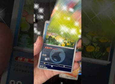 ミラーカード【ポケモンカード】 初めてのコダック！ MEGAドリームex