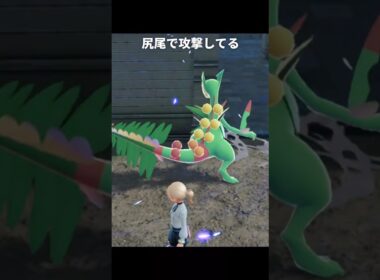 【ポケモンZA】メガジュカインの攻撃モーションが最高に素敵な理由【ポケモンレジェンズZA】