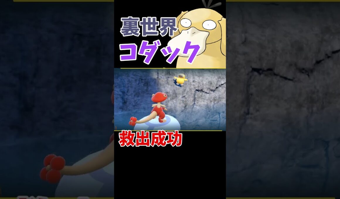 【ポケモンsv】壁に埋まったコダックを助けました。最初見つけた時は助けられないと思いました。 #shorts