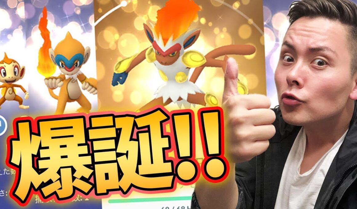 ポケモンGO‼キラゴウカザル！時給〇〇匹！穴場の巣を見つけた！【PokemonGO】