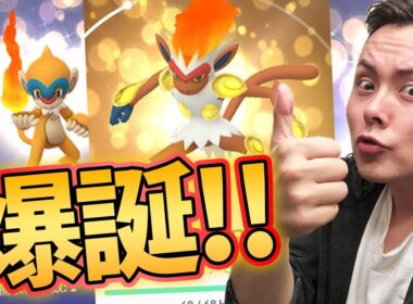 ポケモンGO‼キラゴウカザル！時給〇〇匹！穴場の巣を見つけた！【PokemonGO】