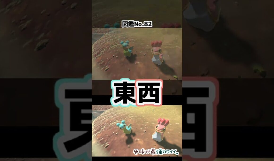 【カブり】カラナクシの東西は揃ったが、カブりである。【Pokémon LEGENDS アルセウス】　#Shorts