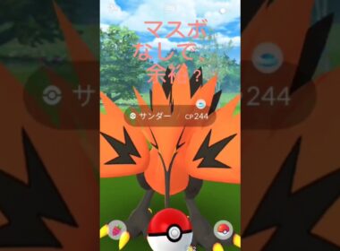 【ガラルサンダー】CP246ならマスボなしで余裕？ #ポケモンgo #ガラルサンダー
