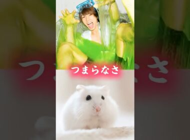 はじめしゃちょーVSラフレシア【強さ比べ】