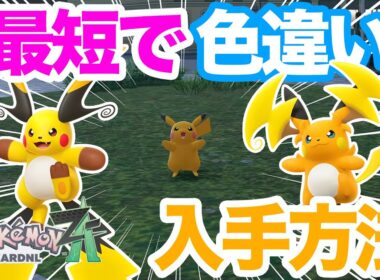 【ポケモンZA】オヤブンも可能！色違いピカチュウの簡単な入手方法を解説！メガライチュウに備えてゲットしておこう！