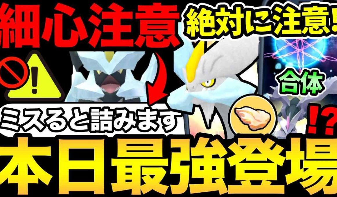 本日最強キュレム登場！間違えると大損！取り返しのつかないミスに注意して！超ガチ案件頑張るぞおおおおお【 ポケモンGO 】【 GOバトルリーグ 】【 GBL 】【  】