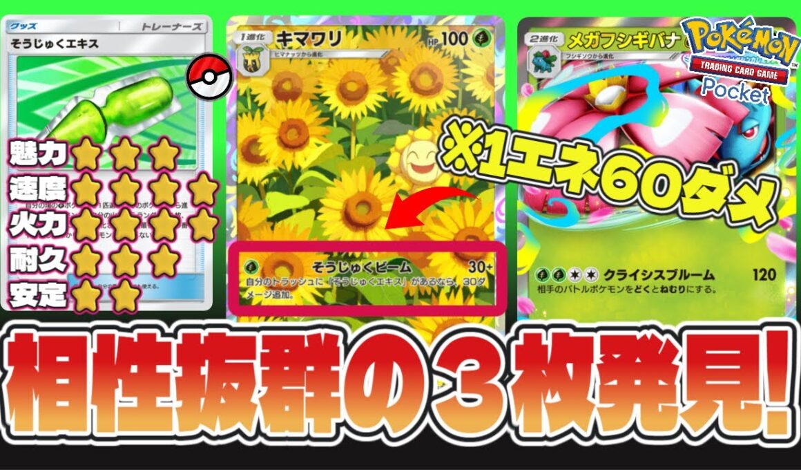 【ポケポケ】キマワリが草デッキを救う！「そうじゅくエキス」のエネ加速が凄い！#マイナーポケモン #ポケポケ #キマワリ #デッキ紹介