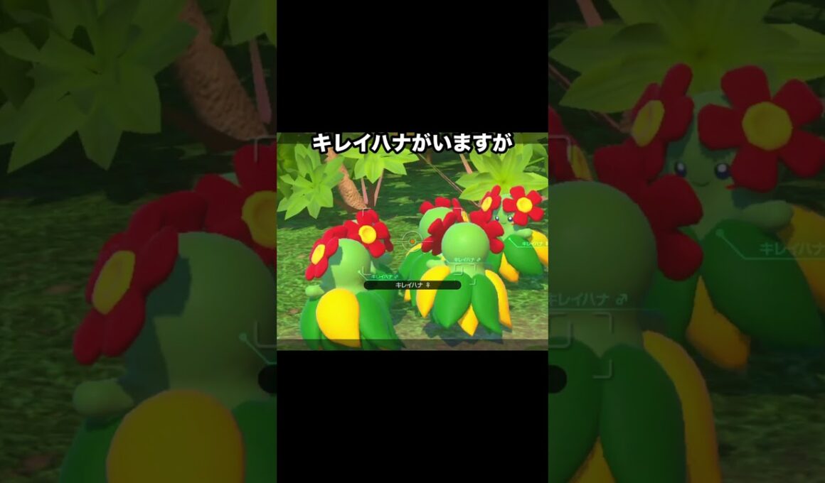 【幻の可愛さ】ピカチュウとキレイハナの決めポーズが可愛すぎる #ポケモン #newポケモンスナップ