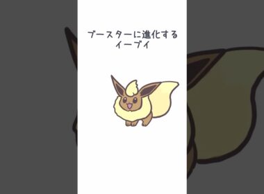 ブースターに進化するイーブイ #ポケモン #イーブイ  #ブースター　#eevee   #pokemon
