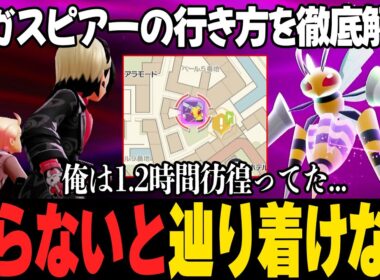 【知らないと詰む】暴走メガシンカ、メガスピアーの場所の行き方。【ポケモンZA】