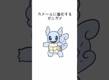 カメールに進化するゼニガメ #ポケモン #ゼニガメ #pokemon #squirtle