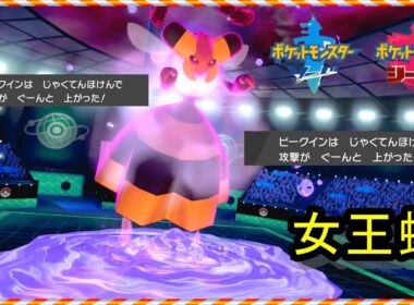 【ポケモン剣盾】【ビークインを活かせる事はできますか？全然勝てへんわ】【ビークイン】