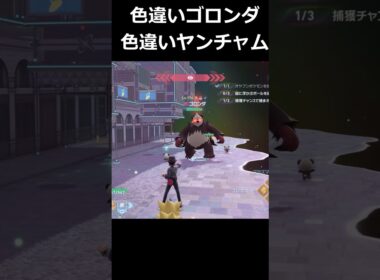 色違いゴロンダ・色違いヤンチャム軍団発生!? #ポケモンレジェンズZA  #shorts #switch2 #M次元ラッシュ