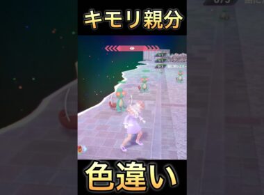 【ポケモンZA】キモリ親分色違い厳選したよ！【メガ次元ラッシュ】#ポケモンza  #shorts  #色違い厳選 #色違い #メガジュカイン