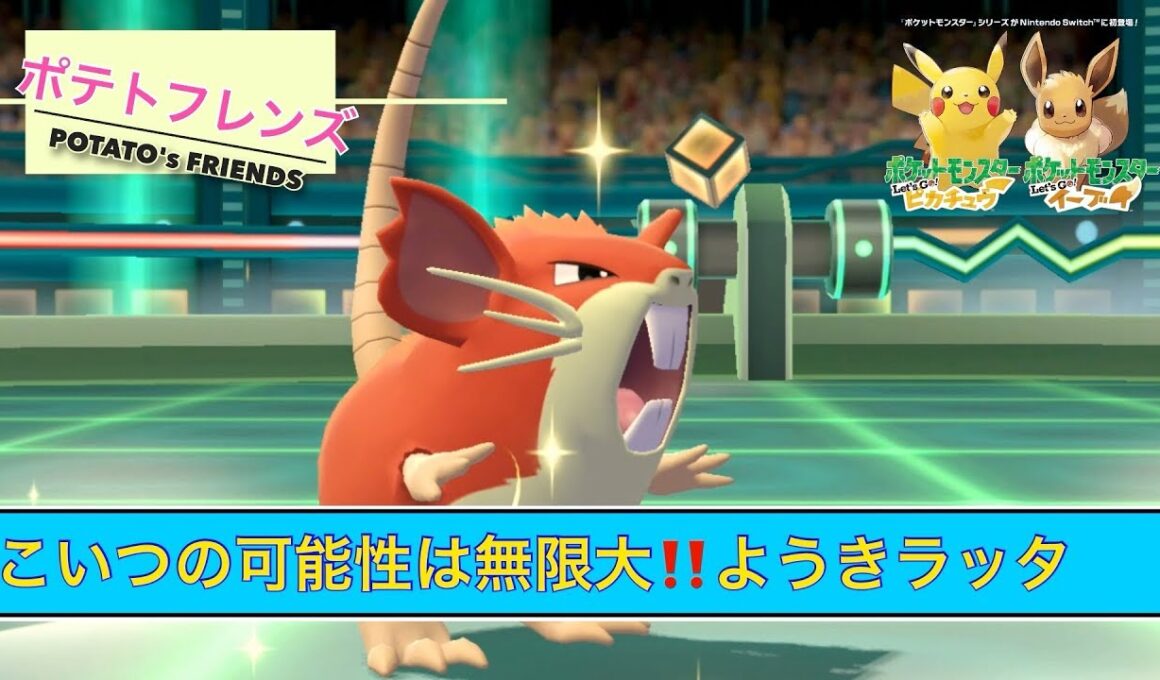 【ポテトのピカブイ劇場】ラッタが噛みつく❗️