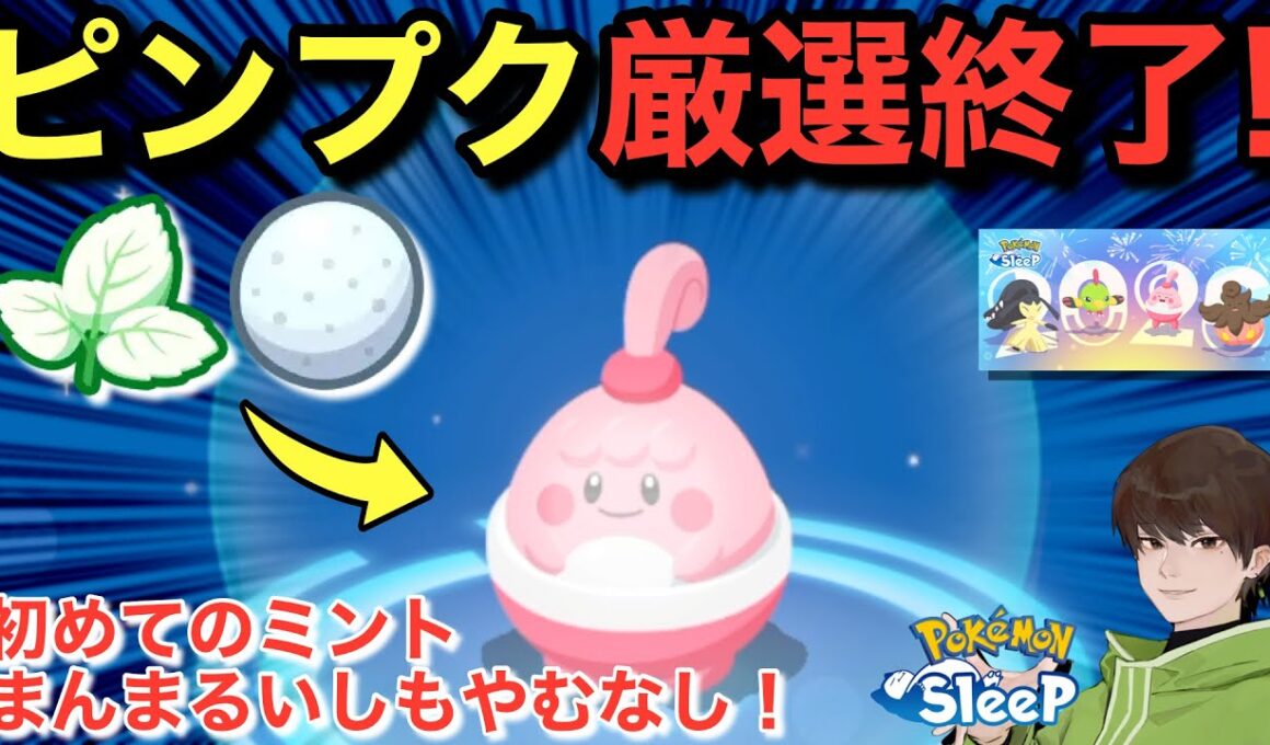 初めてのミント！ピンプクは君に決めた！【ポケモンスリープ】【ニューイヤー2026②】無課金リサーチ901/886日目