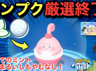 初めてのミント！ピンプクは君に決めた！【ポケモンスリープ】【ニューイヤー2026②】無課金リサーチ901/886日目