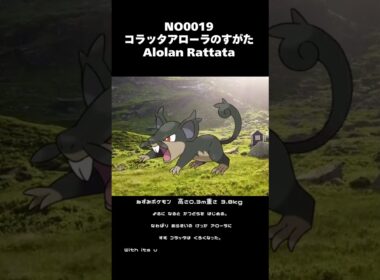 ポケモン図鑑NO0019 コラッタアローラのすがた| Alolan Rattata