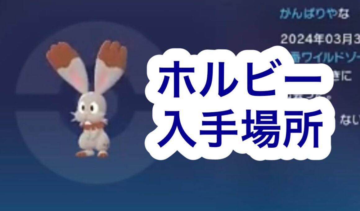 【ポケモンZA】ホルビー入手場所