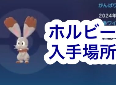 【ポケモンZA】ホルビー入手場所
