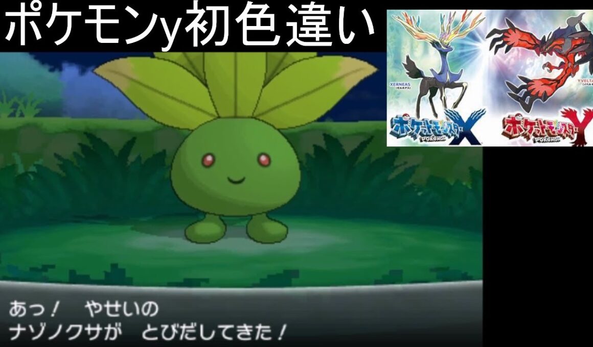 【ゆっくり実況】ナゾノクサ色違いゲットなんか顔色悪そうwでもめっちゃ嬉しいpart7【ポケモンX】