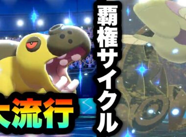 [大流行]今期のトレンド！？カバルドン×ウオノラゴンの砂展開が強すぎる！　[ポケモン剣盾] 実況　竜王戦