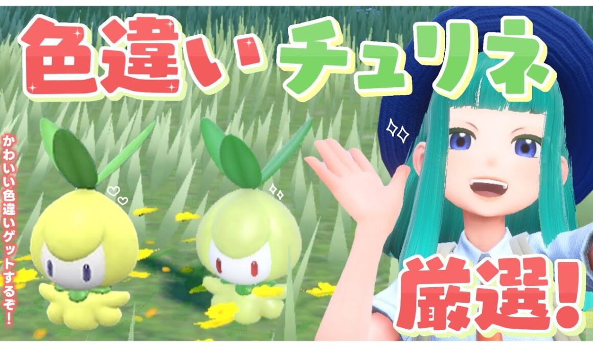 【#ポケモンSV 】色違いチュリネ厳選！#63【Lapinna】