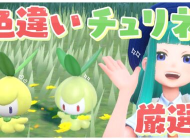 【#ポケモンSV 】色違いチュリネ厳選！#63【Lapinna】