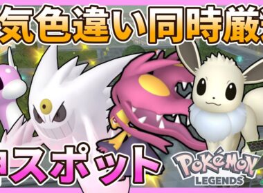 【全自動】人気色違いを同時に厳選できる神スポットを紹介。ゴース、クチート、ミニリュー、イーブイなど【ポケモン/Pokémon LEGENDS Z-A】