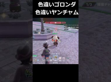 色違いゴロンダ・ヤンチャム軍団発生!? #ポケモンレジェンズZA  #shorts #switch2 #M次元ラッシュ