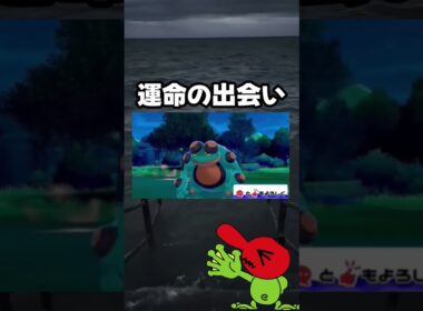 【ポケモン剣盾】ガマゲロゲと運命の出会い #shorts #ポケモンソードシールド