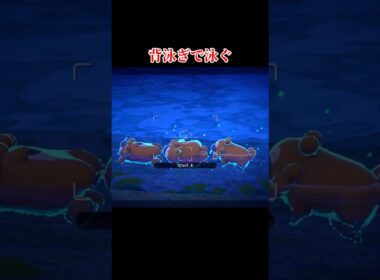 ビッパの生態に関するあれこれ#shorts #ポケモンスナップ #ポケスナ #ゆっくり実況 #でんどろ