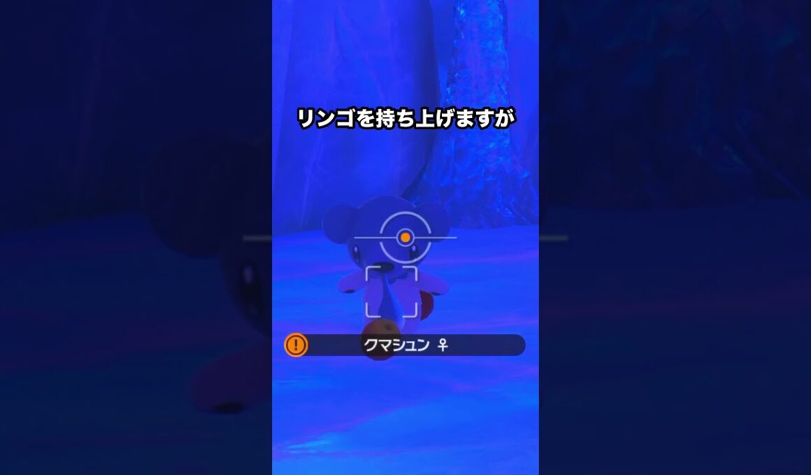 【可愛さ注意】欲張りなクマシュン#ポケモン #newポケモンスナップ