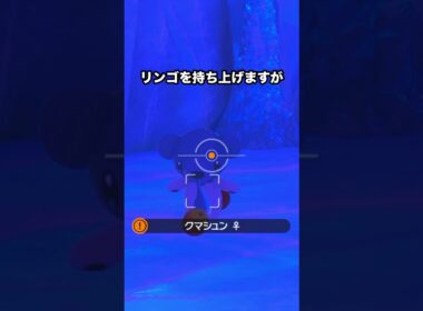 【可愛さ注意】欲張りなクマシュン#ポケモン #newポケモンスナップ