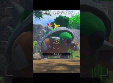 【ポケモン】ヒバニーとピチューを守るドダイトス【ポケモンスナップSwitch】