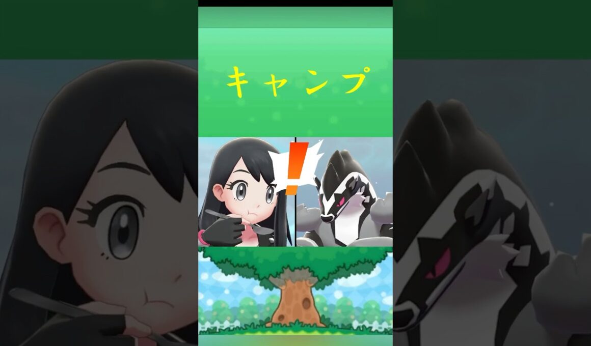 ポケモン タチフサグマ キャンプ ポケリフレ ポケパルレ #ポケモン #Pokemon  #nintendoswitch  #ポケモンsv  #ふれあい #キャンプ  #ピクニック #ポケモン剣盾