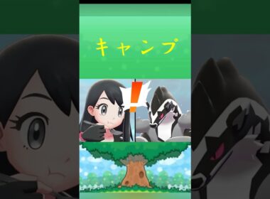 ポケモン タチフサグマ キャンプ ポケリフレ ポケパルレ #ポケモン #Pokemon  #nintendoswitch  #ポケモンsv  #ふれあい #キャンプ  #ピクニック #ポケモン剣盾