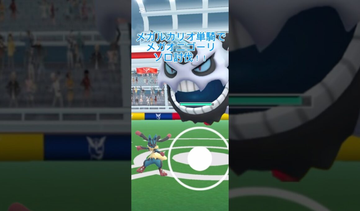 メガオニゴーリソロ討伐！